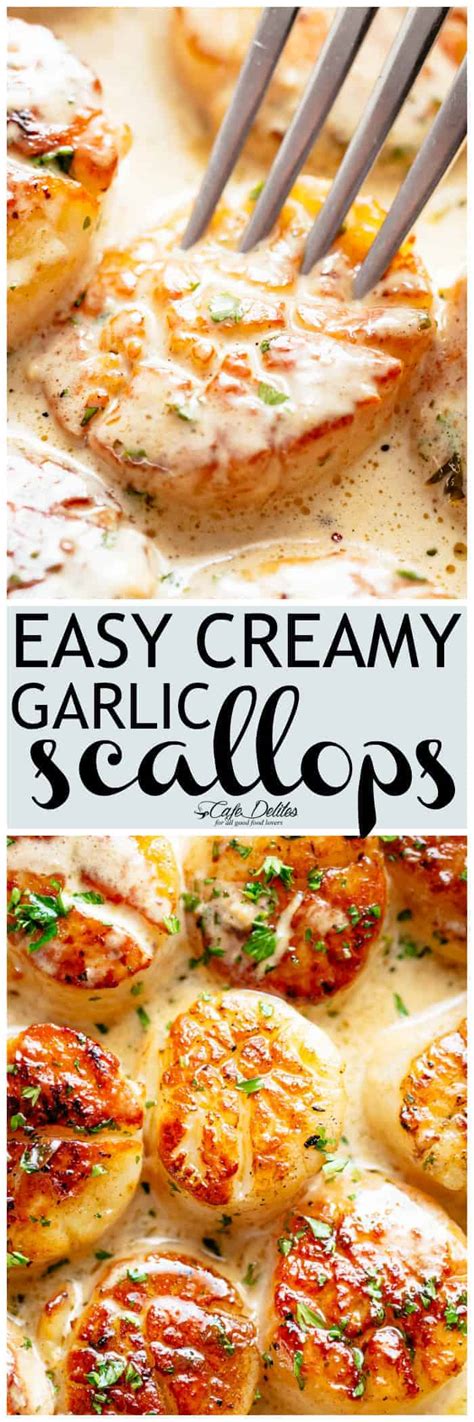 Creamy Garlic Scallops Cafe Delites Scallop Recipes Cooking Hot Sex