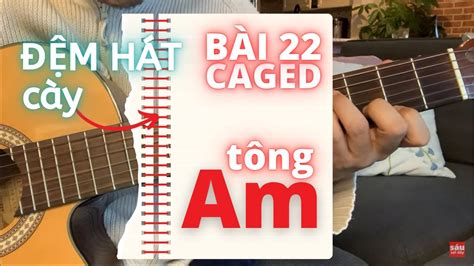 Đệm Hát Guitar Căn Bản Bài 22 Tông Am Có Hợp Âm Gì Youtube