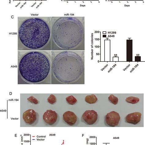 Overexpression Of Mir 194 Suppresses Nsclc Cell Proliferation A Download Scientific Diagram