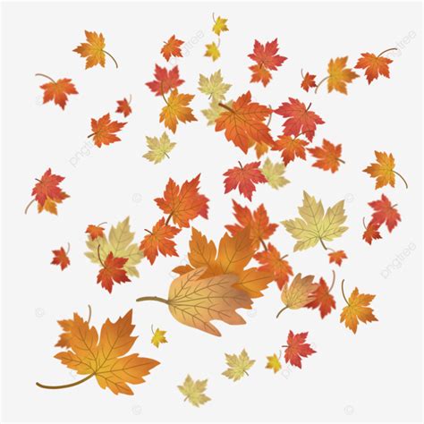 Orange Autumn Leaves With Transparant Background Leaves Drawing