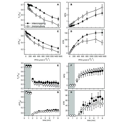 Responses Of Maximum Photochemical Efficiency Of Psii In The Light F