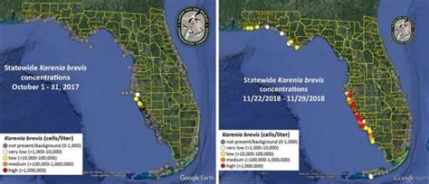 Red Tide Status Map In Southwest Florida In October 2017 And November Download Scientific