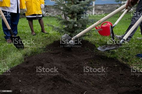 Group Of Diverse People Planting Tree Together Stock Photo Download