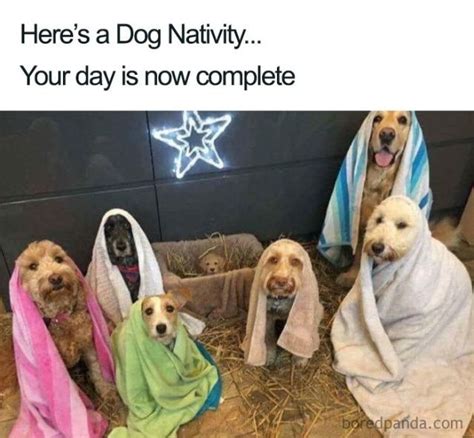 Funny Christmas Memes 30 Photos Christmas Memes Funny Christmas