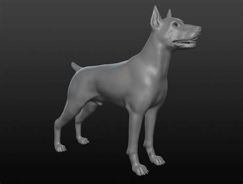 Doberman Base Mesh 3d Model Cgtrader