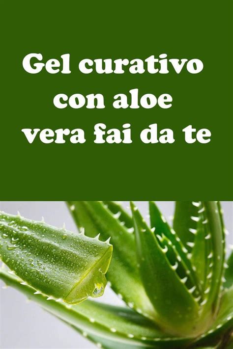 Gel Di Aloe Vera Come Si Prepara E Dove Utilizzarlo Artofit