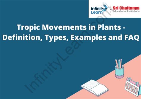 Tropic Movements In Plants Definition Types Examples And Faq