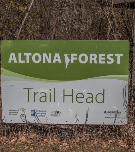 Altona Forest: March 22, 2020 | Miles Hearn