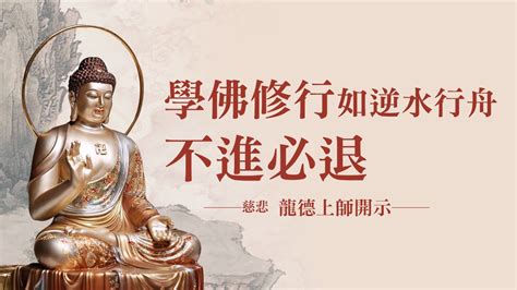 慈悲 龍德上師：學佛修行如逆水行舟不進必退｜方格子 Vocus