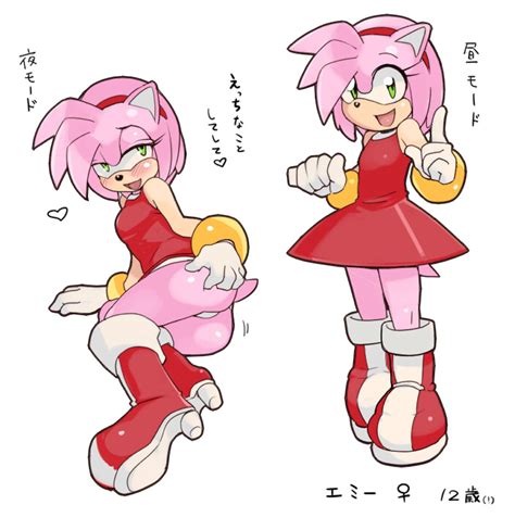 Amy Rose X Amy Rose