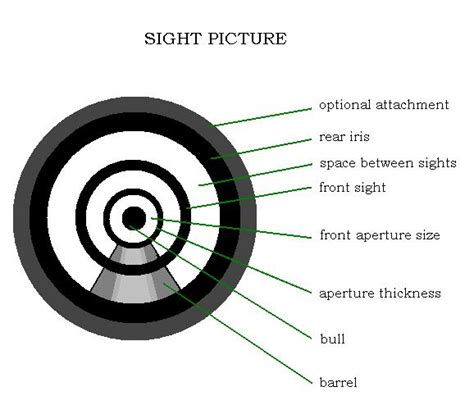 Proper Pistol Sight Picture Diagram