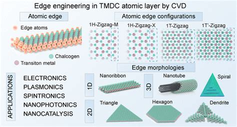 Toward Edge Engineering Of Two Dimensional Layered Transition Metal