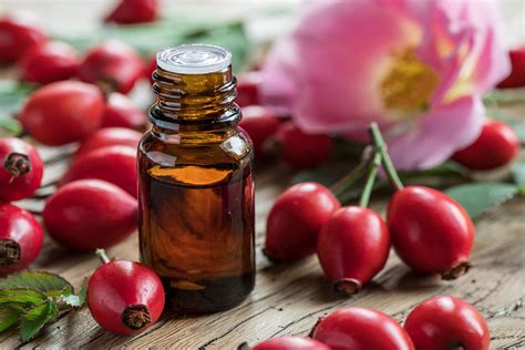 Olio di rosa mosqueta che cos è proprietà benefici usi cosmetici