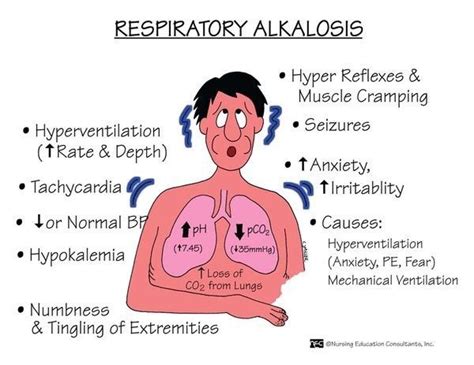 Respiratory Acidosis Alkalosis Medical Amino