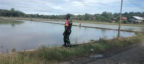 Banjir Rendam Kecamatan Pitumpanua Dan Keera Mulai Surut