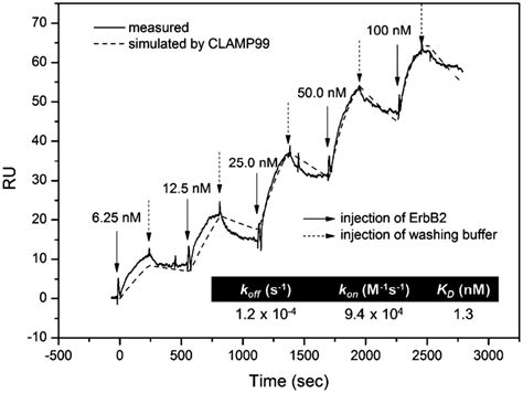 Spr Sensorgrams By The Kinetic Titration Method With Concentration