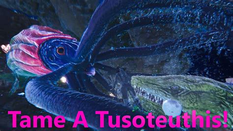 Ark Survival Ascended Tame A Tusoteuthis The Alpha Champion With No