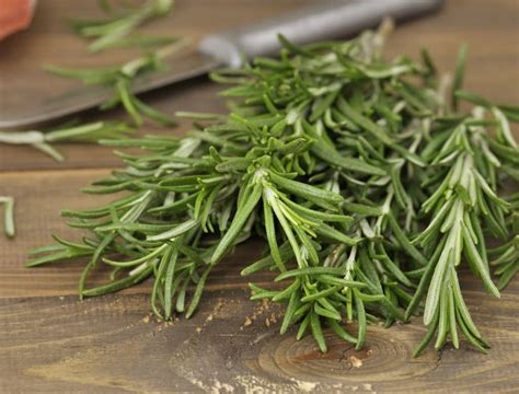 Rosemary Vs Thyme How Do They Compare