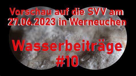 Sendung 41 Vorschau SVV 27 06 23 wassergebühren kommunalpolitik