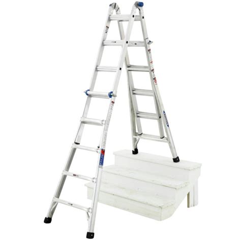 Werner Rung Telescopic Combination Ladder