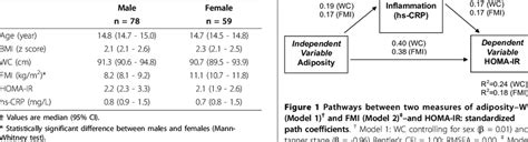 Adiposity And Cv Risk By Sex † Download Table