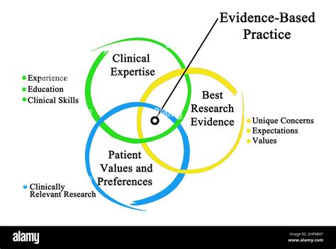 Componentes De La Práctica Basada En La Evidencia Fotografía De Stock