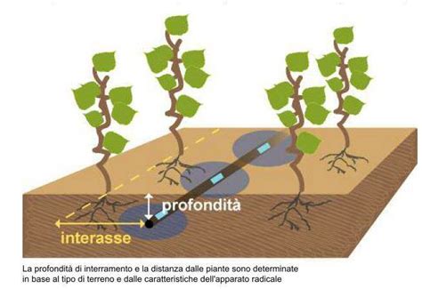 Impianto Di Irrigazione Per Vigneto SubIrrigazione Gogoverde