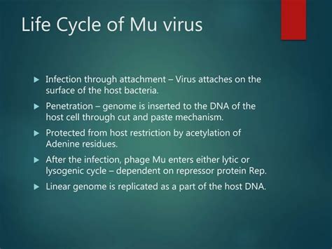 M13 and Mu Virus Structure and Life Cycle