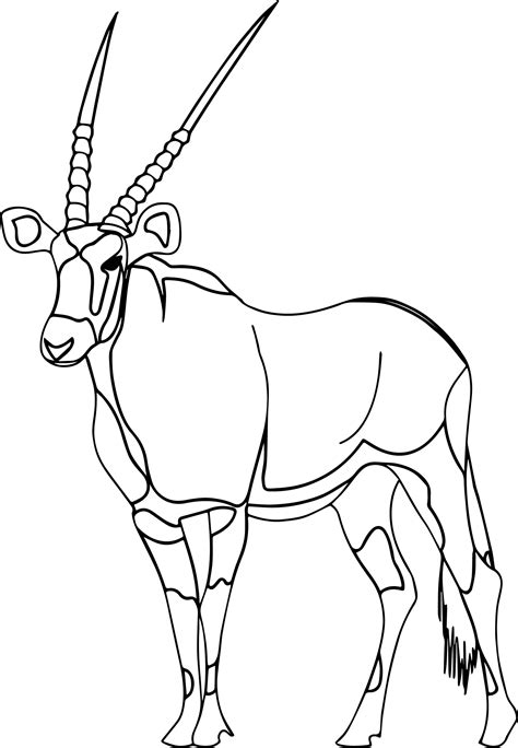 Arabian Oryx Coloring Pages Coloring Pages