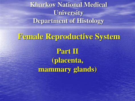 Solution Female Reproductive System Part 2 Lecture For Medical