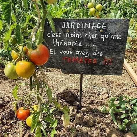 Les citations proverbes et phrases célèbres au jardin Garden