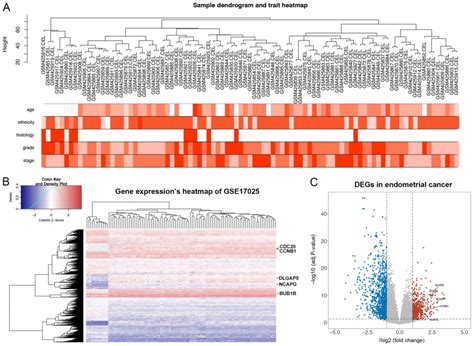 Identification Of A Five‑gene Signature For Predicting The Progression