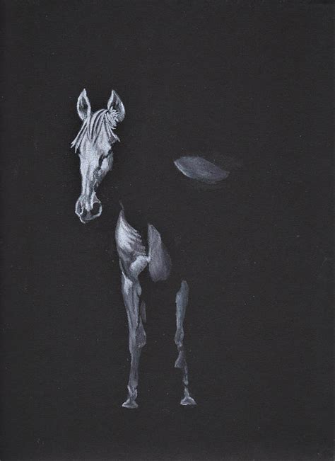 Ghost Horse Drawing by Jay Johnston | Fine Art America