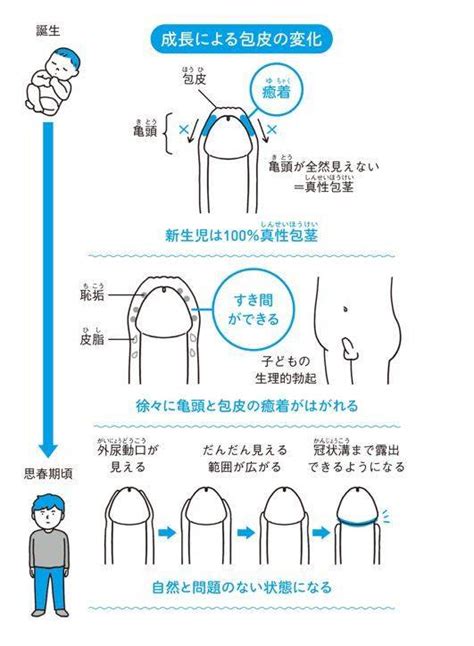 「おちんちんもおしっこも汚くない！」2児の母親である泌尿器科に聞く【男児の身体の変化とケア方法】 ヨガジャーナルオンライン