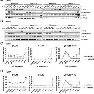 Il Induces Stat Transcriptional Activity Upon Stat Depletion A