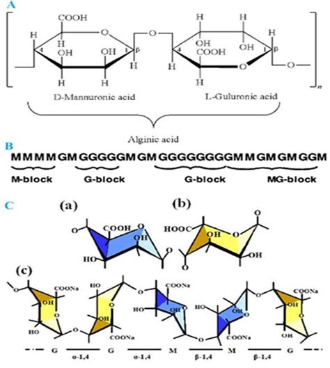 Chemical Structure Of Alginates Of Brown Algae A Alginic Acid B