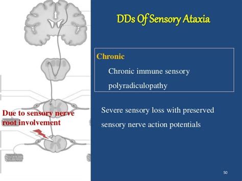 Sensory Ataxia