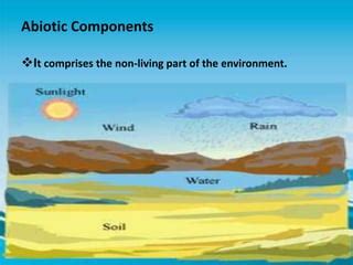 Environment pollution | PPT