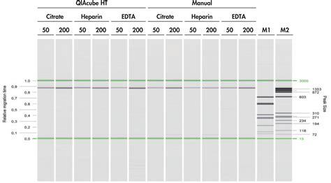 Qiaamp Dna Qiacube Ht Kit