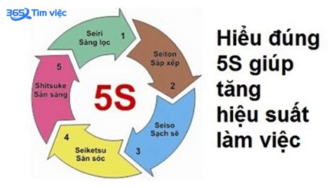 Tiêu chí 5S là gì Tìm hiểu chi tiết và lợi ích khi áp dụng mô hình 5S