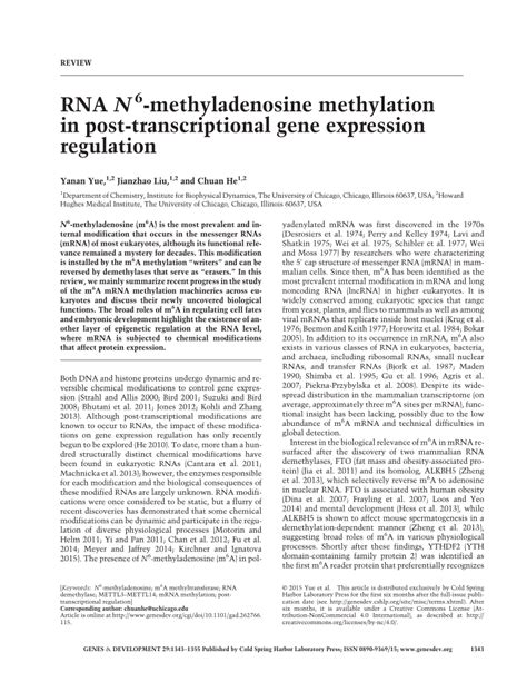 Pdf Rna N6 Methyladenosine Methylation In Post Transcriptional Gene