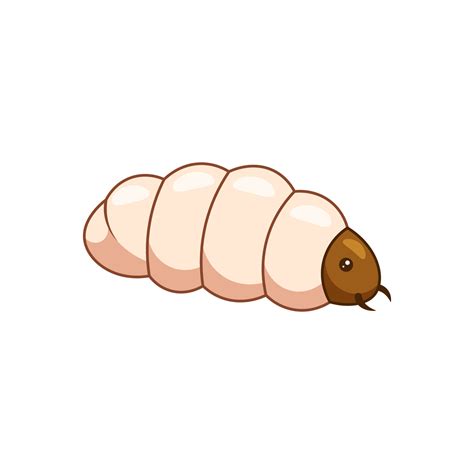 Maggot Or Larva Vector Isolated 17260381 Vector Art At Vecteezy