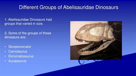 PPT - Know About Abelisauridae Fossils PowerPoint Presentation, free ...