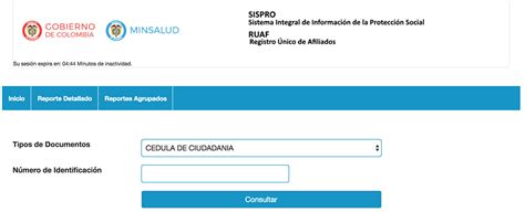 Ruaf Consultar Afiliaciones En Salud Pensión O Cesantías Descarga