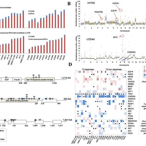 Chip Seq For The Eight Chromatin Marks A Correlation Among The