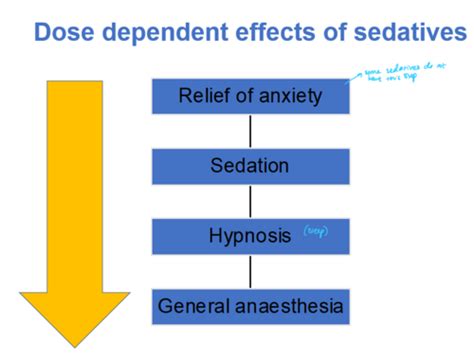 Bp Anxiolytics Sedatives And Hypnotics Flashcards Quizlet