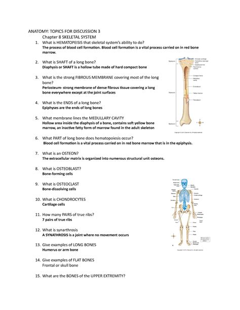 Anatomy Topics FOR Discussion 8,9,10 - ANATOMY: TOPICS FOR DISCUSSION 3