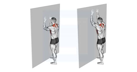 Muscle Up Guide Benefits And Form