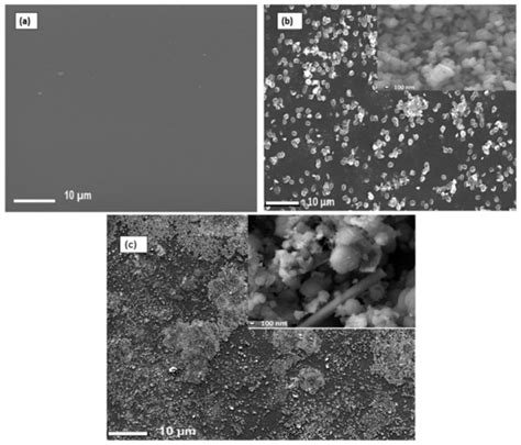 Polymers Free Full Text The Effect Of Sulfated Zirconia And