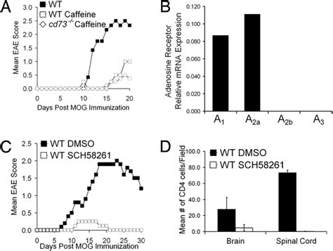 Ar Blockade Protects Mice From Eae Development A Eae Was Induced